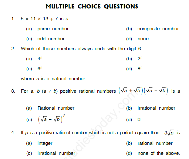 assignment of real numbers class 10